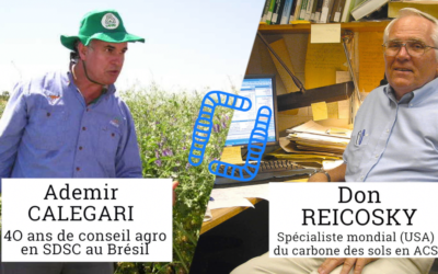 Dynamique et stockage du carbone dans les sols