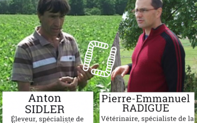 Élevage : autonomie en protéines et santé des troupeaux