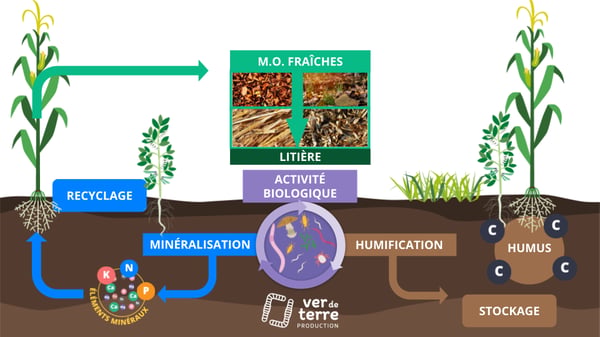 Agroécologie : initiation