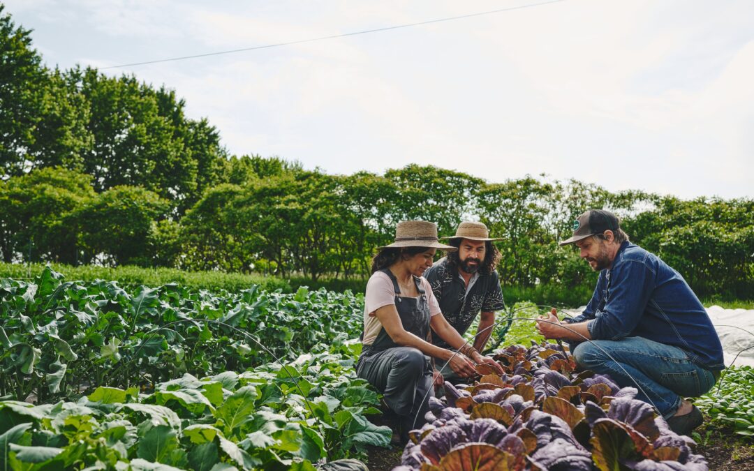 La masterclass du jardinier-maraîcher