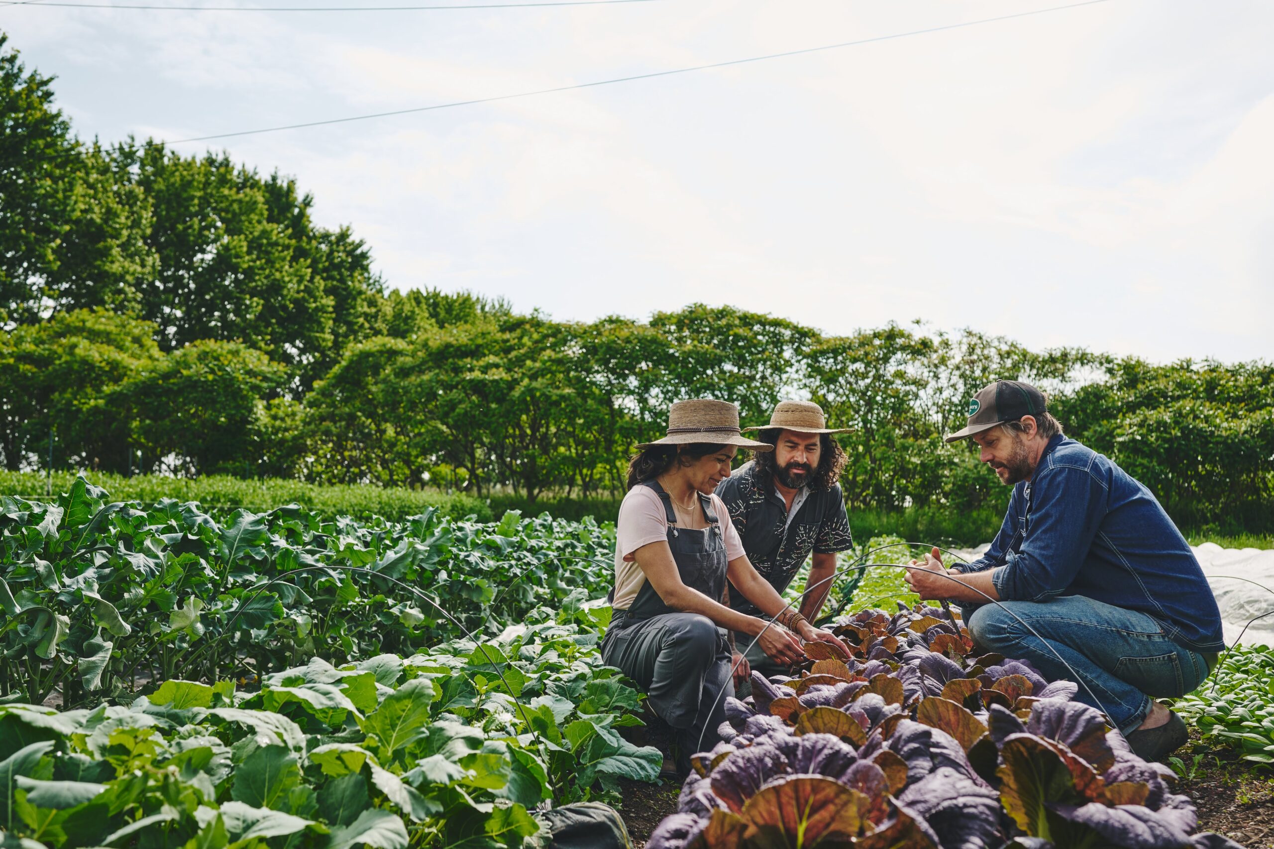 La masterclass du jardinier-maraîcher
