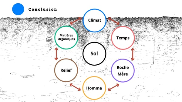 Pédogénèse : comprendre la formation des sols