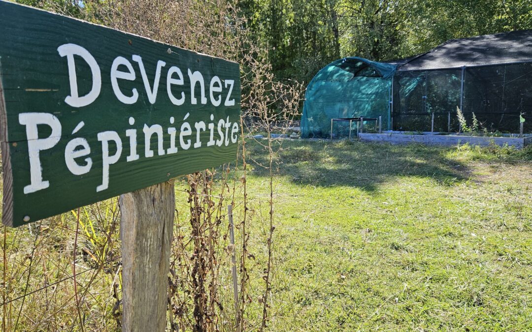 Pépins et Compagnie : premiers pas vers la production de plants champêtres