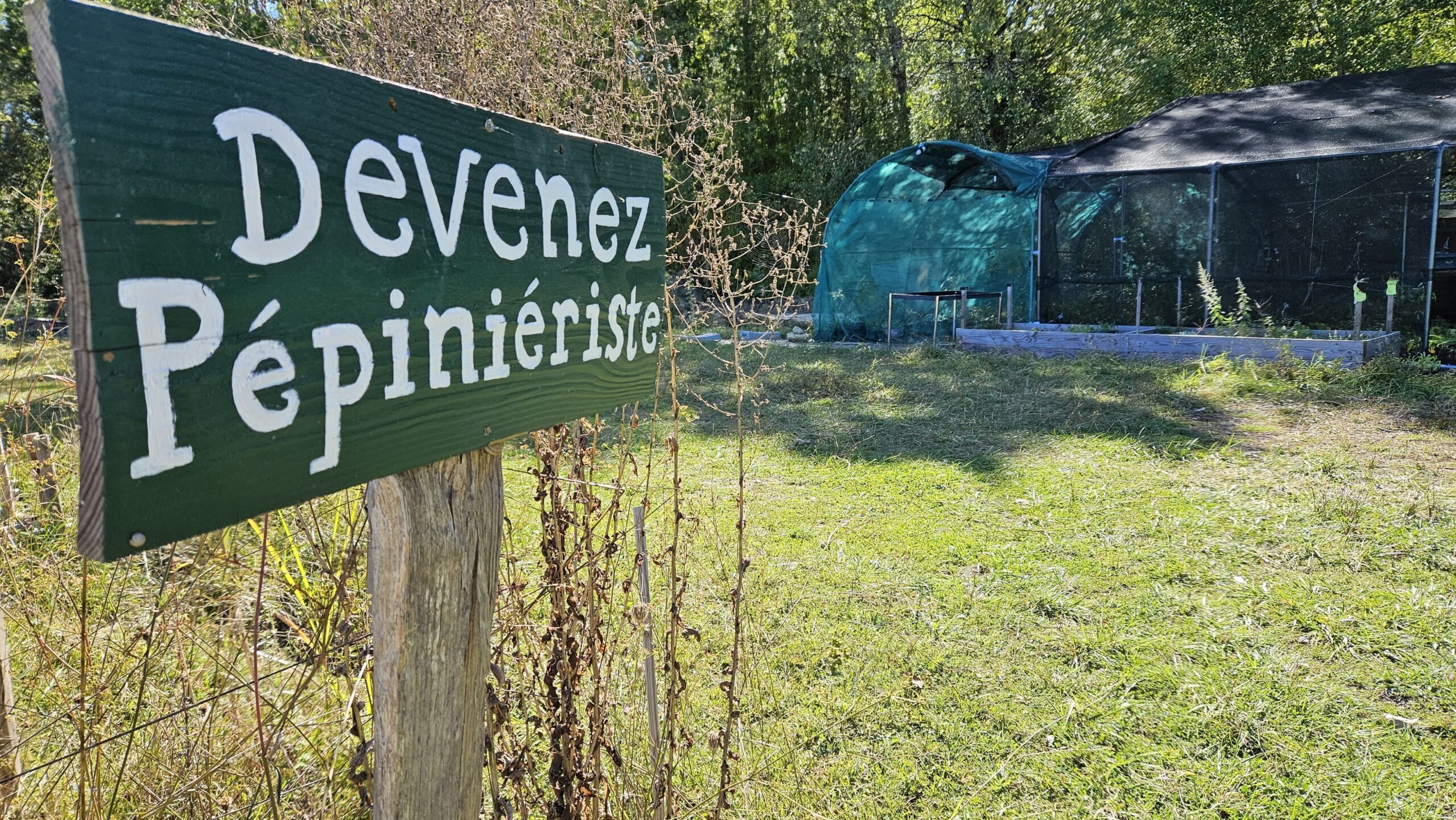Pépins et Compagnie : premiers pas vers la production de plants champêtres